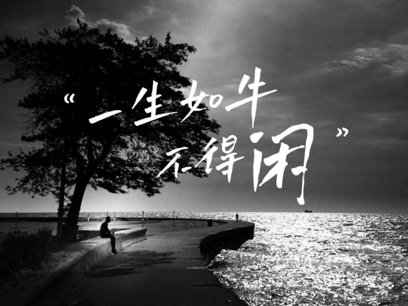 一生如牛不得闲 (纯享版) (Single)