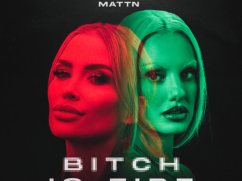 Bitch Is Fire (Single)