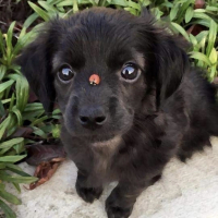 Trust (feat. Boosie Badazz) (Single)