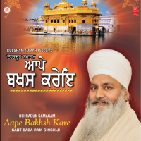 Aape Bakhsh Kare (EP)