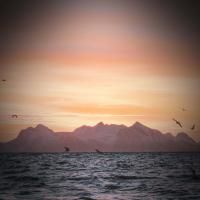 Sounds of Seagulls and Sea Waves for Instant Relaxation and Good Mood (Single)