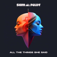 All The Things She Said (Single)