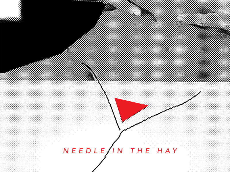 Needle in the Hay (Single)