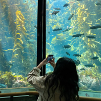 What Would You Do (Single)