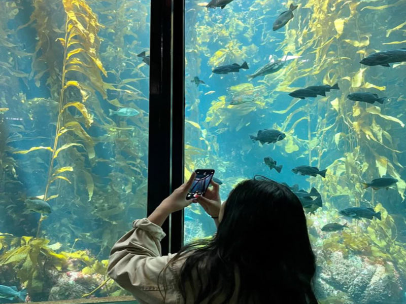 What Would You Do (Single)