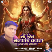 Nau Din Navratri Karba Pujwa Tore Charniya (Single)