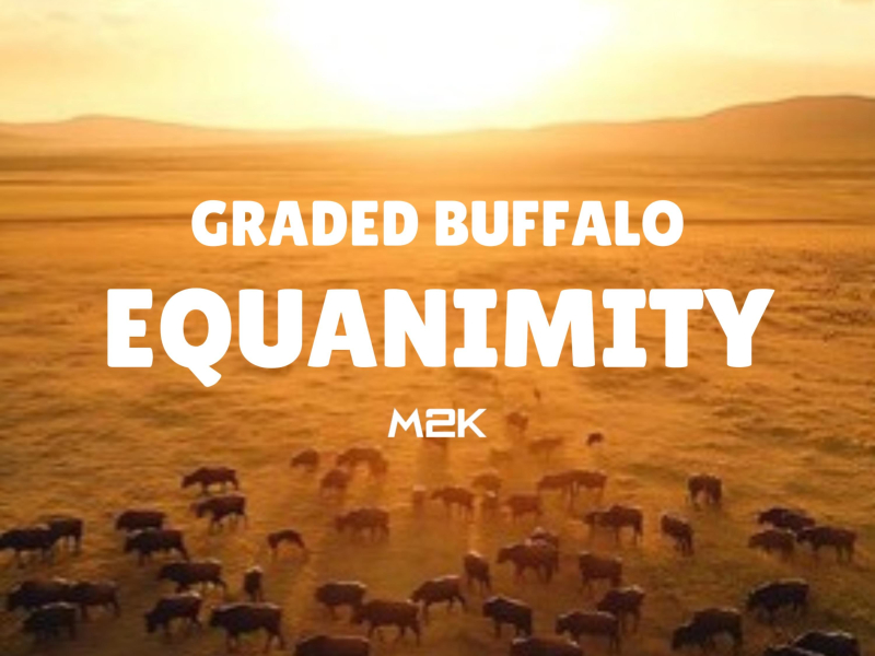 Equanimity (Single)