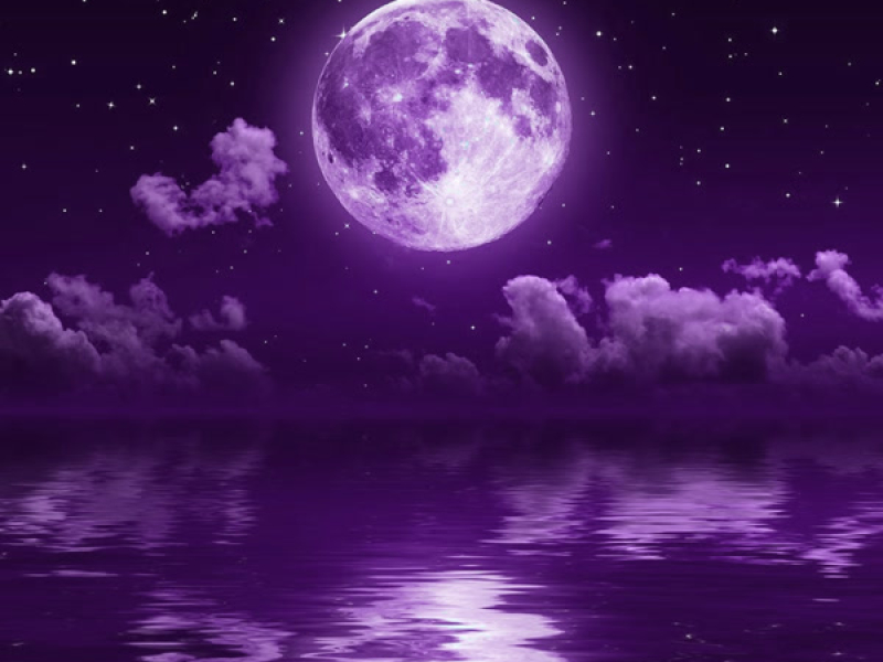 Moon! (Toxic Pt. 2) (Single)