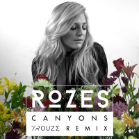 Canyons (Trouze Remix) (Single)
