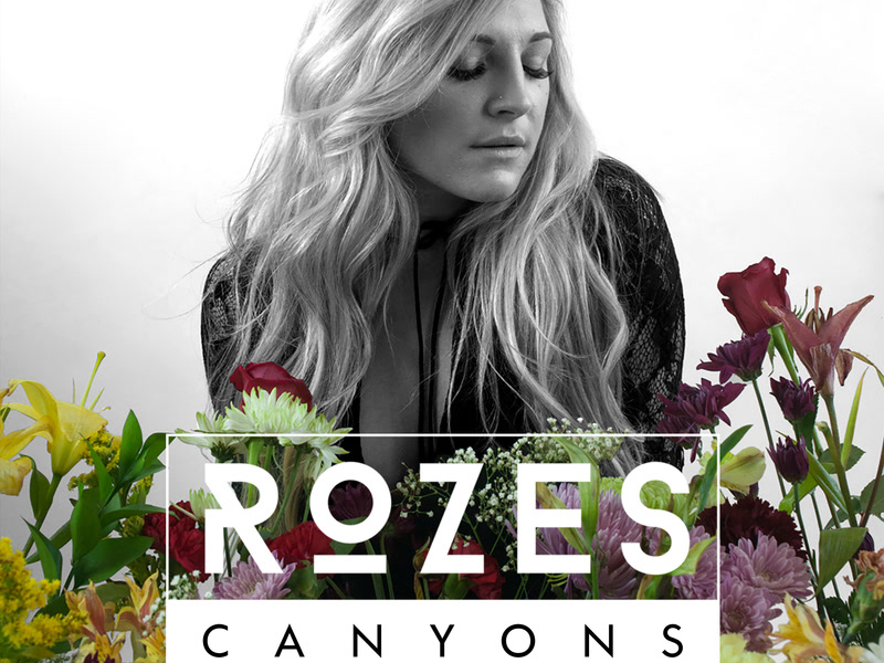 Canyons (Trouze Remix) (Single)