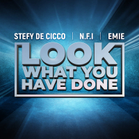 Look What You Have Done (Single)