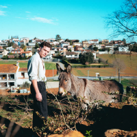 Catalan Society (Single)