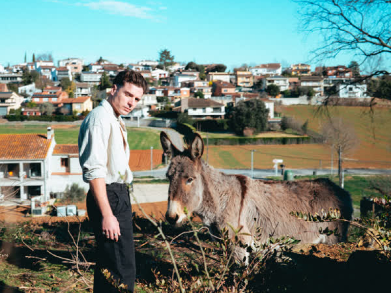 Catalan Society (Single)