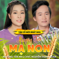 Tân Cổ Hương Tóc Mạ Non (Single)