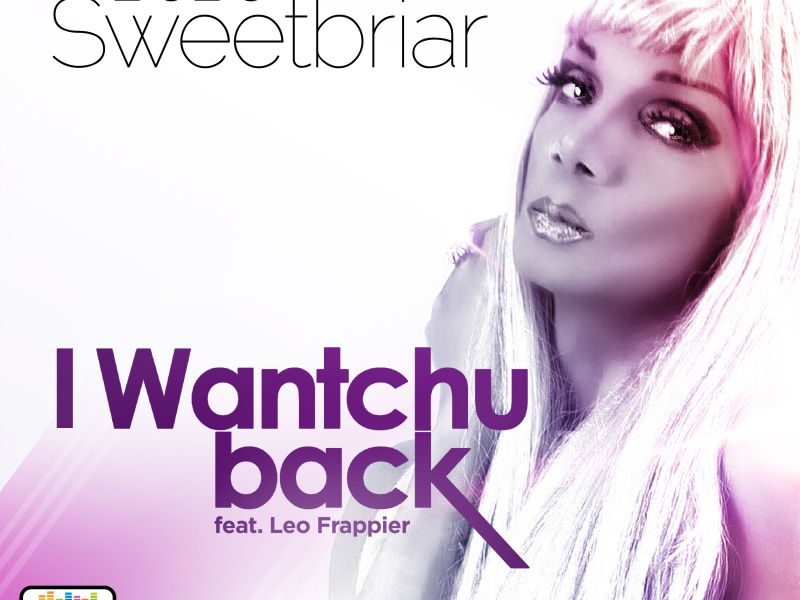 I Wantchu Back (Ft. Leo Frappier)