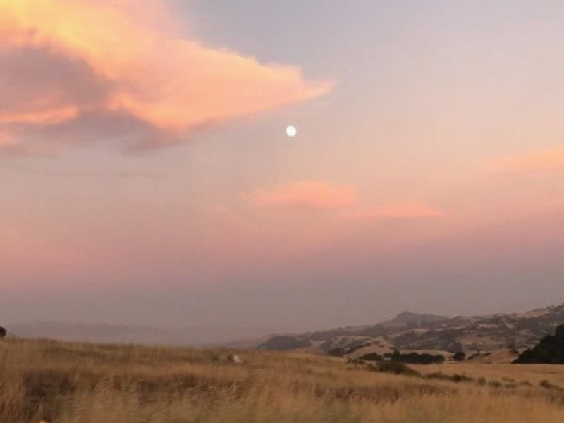 a new beginning (Single)