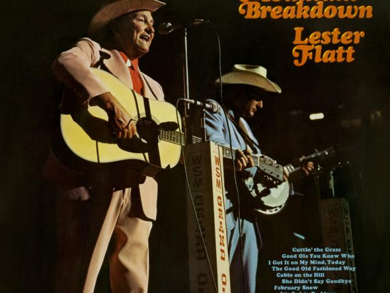 Foggy Mountain Breakdown