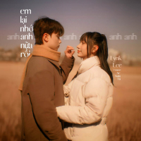 Em Lại Nhớ Anh Nữa Rồi (Single)