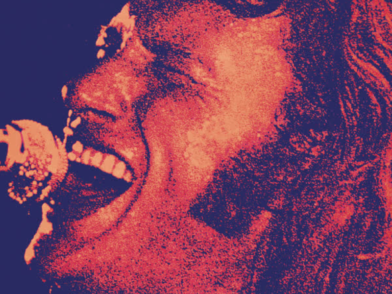 Palais des Sports 1971 (Live)