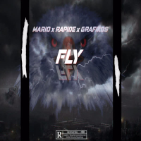 FLY (Single)