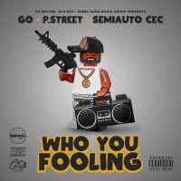 Who You Fooling (Single)