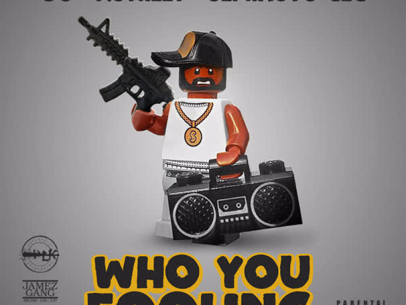 Who You Fooling (Single)