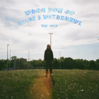 When You Go Home I Withdrawal (Dizzy Remix) (EP)