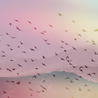 Moving Wings (Single)