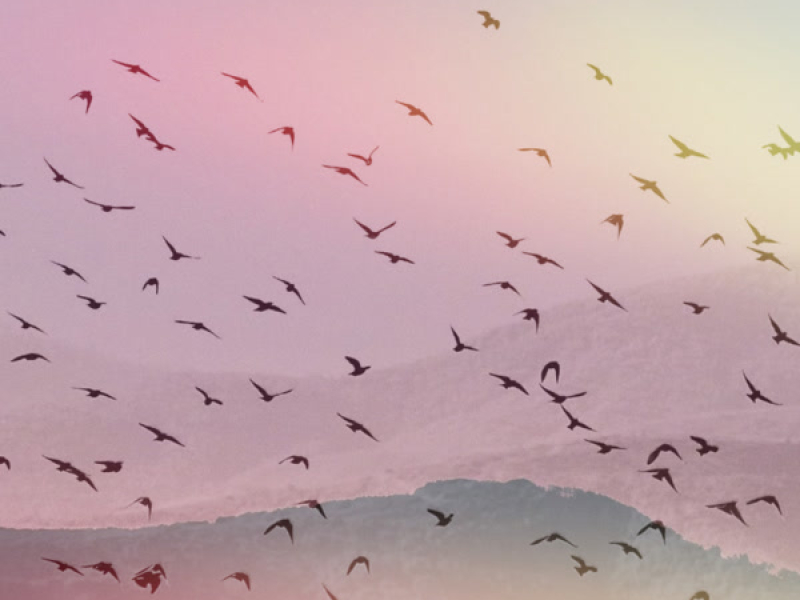 Moving Wings (Single)