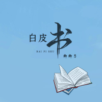 白皮书 (Single)