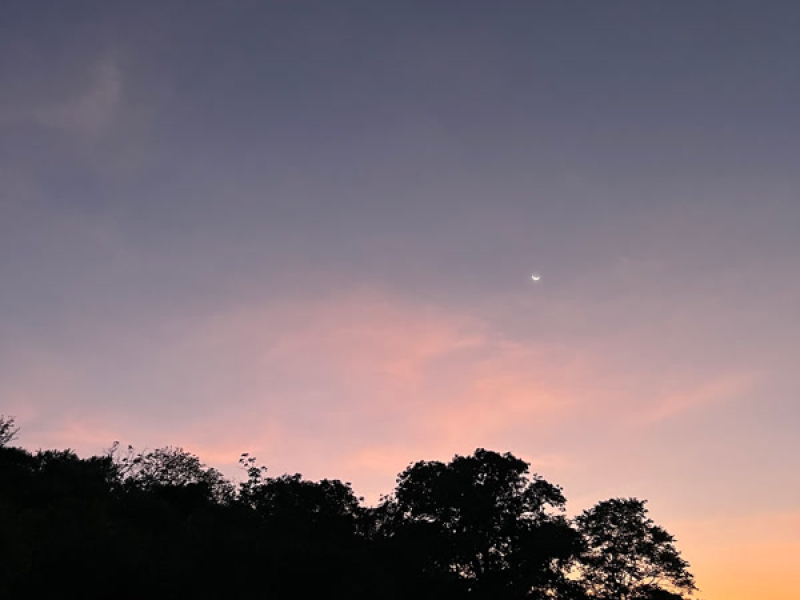 late sunset (Single)