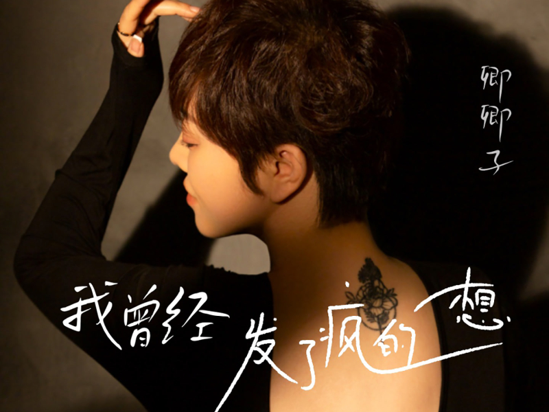 我曾经发了疯的想 (Single)