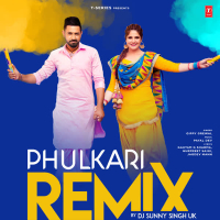 Phulkari Remix (Single)