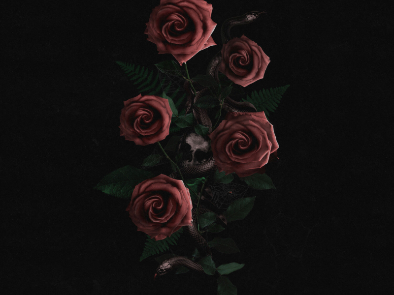 Roses In The Concrete (EP)