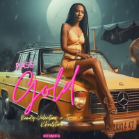 Pass Gold (Instrumental) (Single)