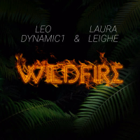 Wildfire (Single)