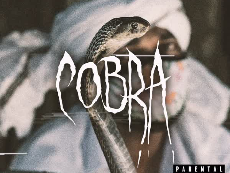 Cobra (Single)