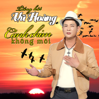 Cánh Chim Không Mỏi