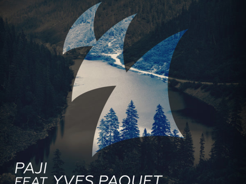 Sharks In The Woods (Remixes) (Single)