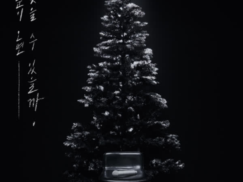 When the First Snow Falls (Single)