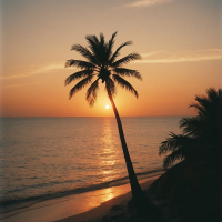 Cahaya Oranye (Single)