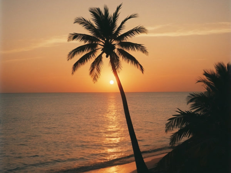 Cahaya Oranye (Single)