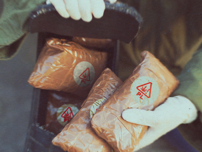 Legit Check (Single)