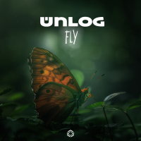 Fly (Single)