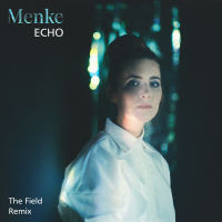 Echo (The Field Remix) (Single)