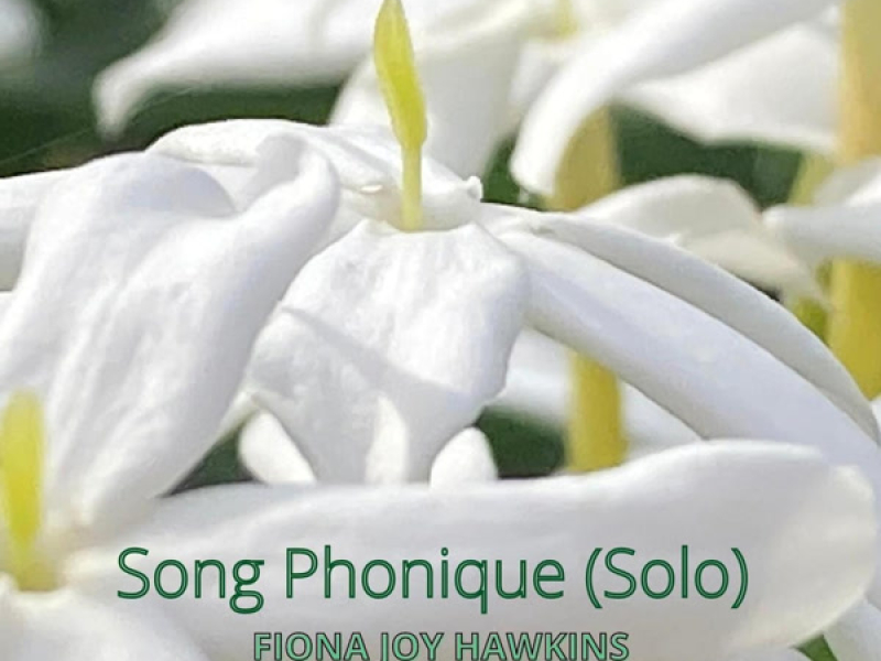 Song Phonique (Solo) (Single)