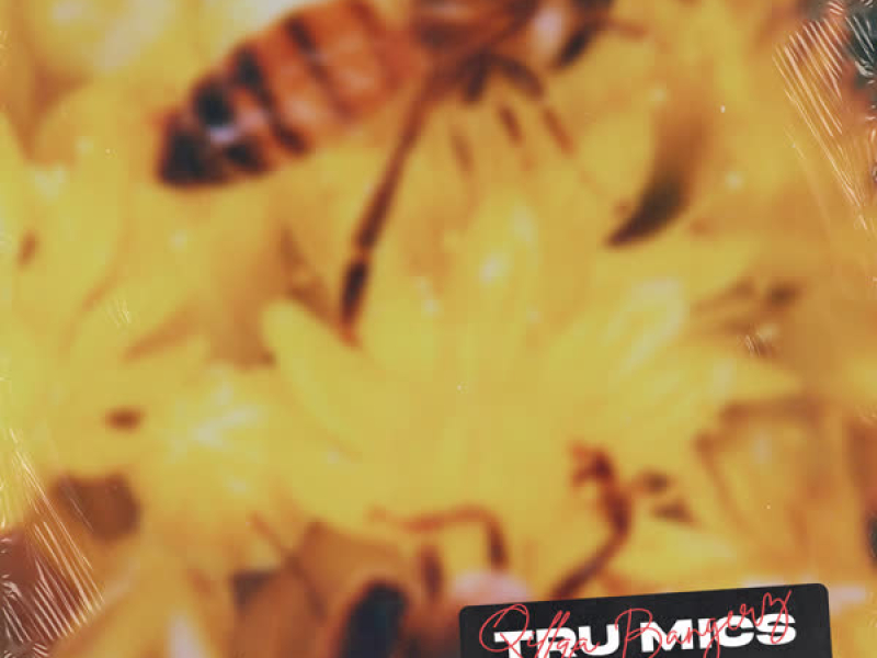 Trú Mics (Single)