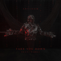 Take You Down (Single)