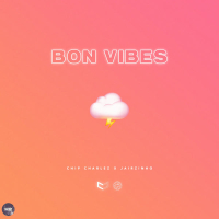 BON VIBES (Single)