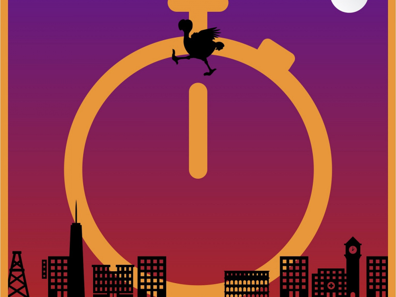 The Bird Who Leapt Through Time